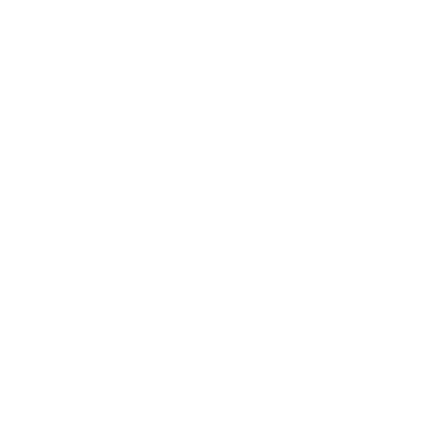 Winhance rocket logo